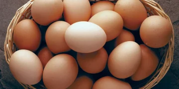 எதிர்காலத்தில் முட்டையின் விலை 20 ரூபாவாக குறையலாம்?