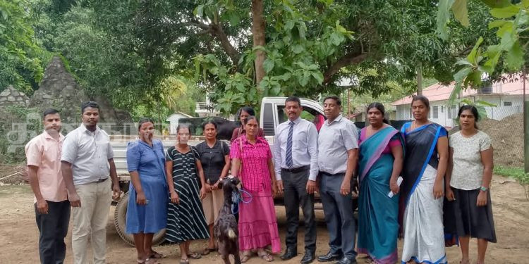 தொழில் முயற்சியாளர்களுக்கு வாழ்வாதார உதவி வழங்கி வைப்பு.!