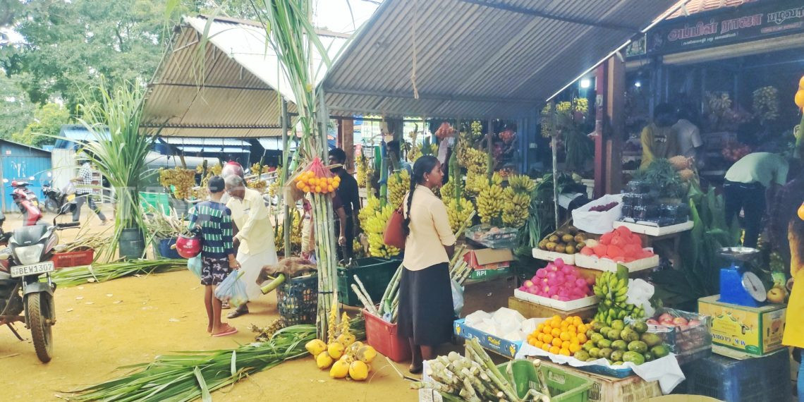 பொங்கலுக்கு தயாராகும் கிளிநொச்சி மக்கள்.!