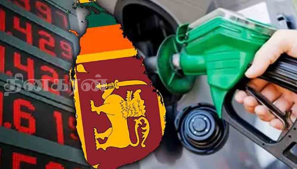 எரிபொருள் விலைகளை திருத்துவதற்கு நடவடிக்கை!