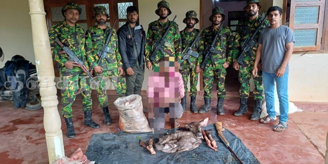 காட்டினுள் மரையை வேட்டையாடிய சந்தேகநபர் கைது!