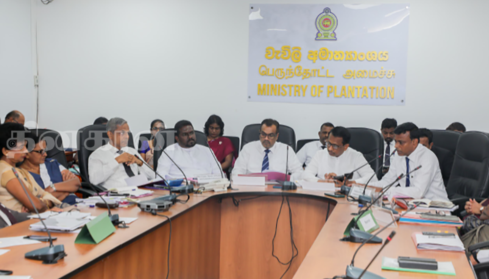 பெருந்தோட்டக் கைத்தொழில் நிறுவனங்களின் பங்கேற்பு தொடர்பான விசேட கலந்துரையாடல்!