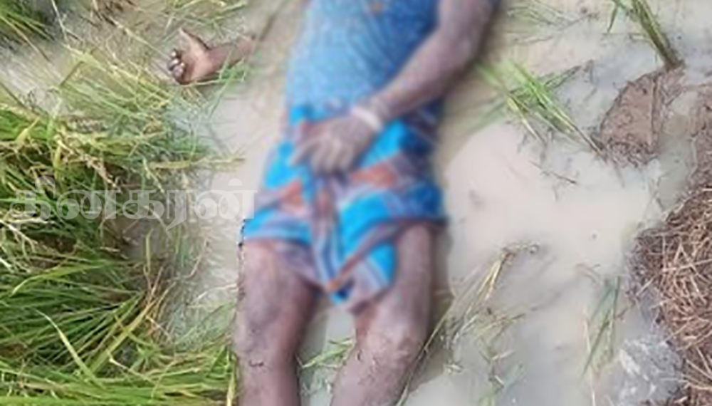 வயலுக்குச் சென்ற குடும்பஸ்தர் சடலமாக மீட்பு!