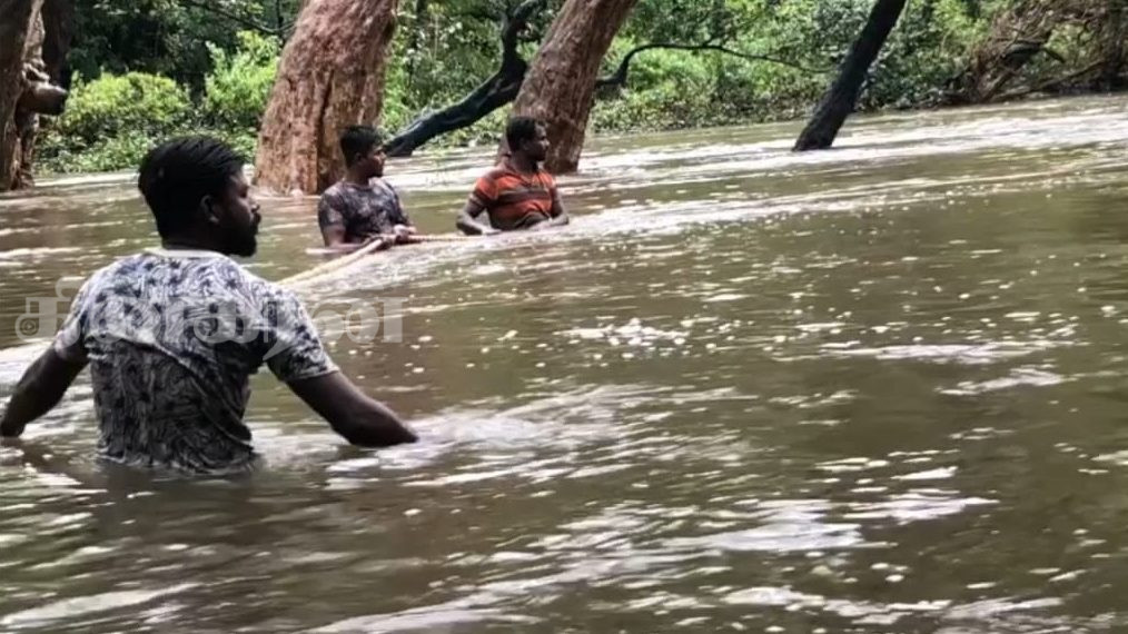 நீரில் மூழ்கி காணாமல் போன இளைஞனை தேடும் பணி தொடர்கிறது.!
