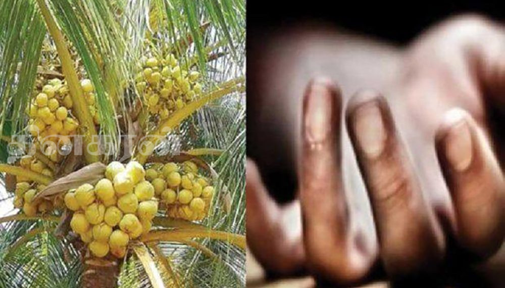 தென்னை மரத்திலிருந்து வீழ்ந்து குடும்பஸ்தர் ஒருவர் உயிரிழப்பு!