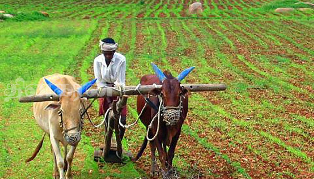 விவசாய உற்பத்திப் பொருட்களுக்கு 10 சதவீத கழிவு அறவிடப்படுவது தொடர்பான கள ஆய்வு!