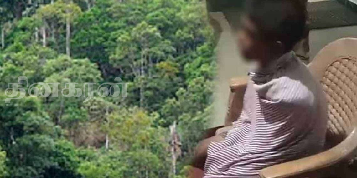 அடர்ந்த காட்டுப் பகுதியில் சிறுவன் ஒருவர் கண்டுபிடிப்பு!