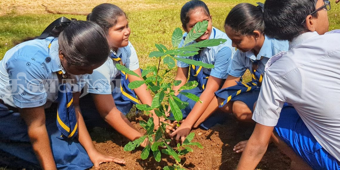 சமுதாயப் பொலிஸ் குழுவின் ஏற்பாட்டில் மரநடுகை.! (சிறப்பு இணைப்பு)