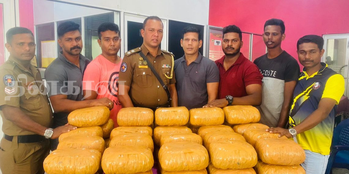 யாழில் பெருமளவு கேரள கஞ்சாவுடன் சிக்கிய சந்தேக நபர்கள்.!