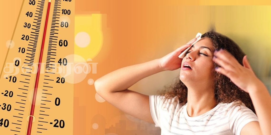 வெப்பமான காலநிலை- முடிந்தவரை நிழலான இடங்களில் ஓய்வெடுக்கவும்!