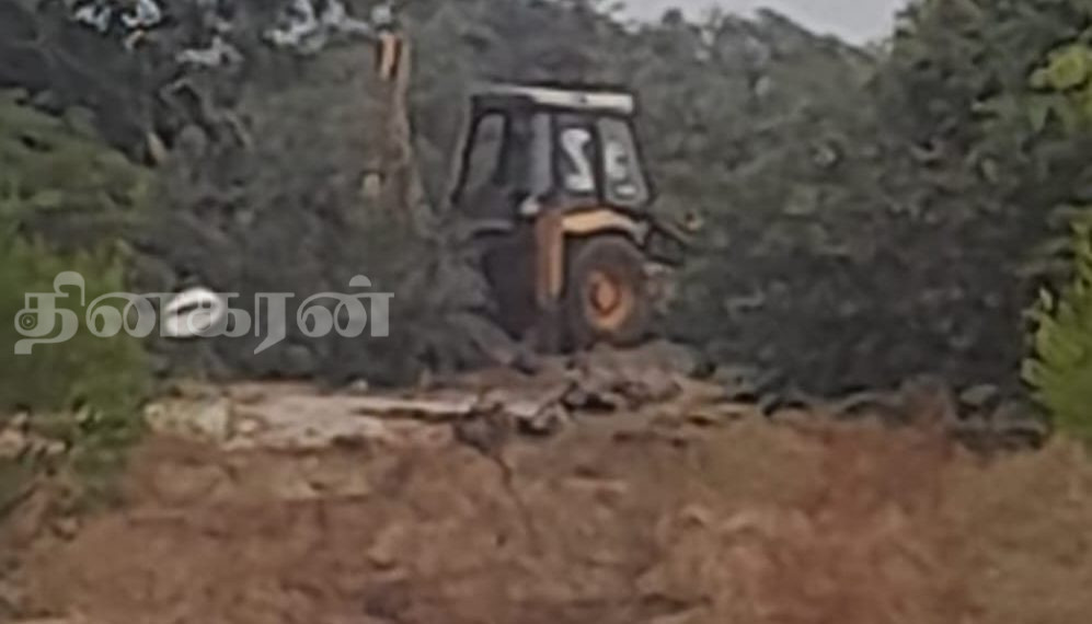 இரவோடு இரவாக பெருமளவான காடுகள் அழிப்பு.!