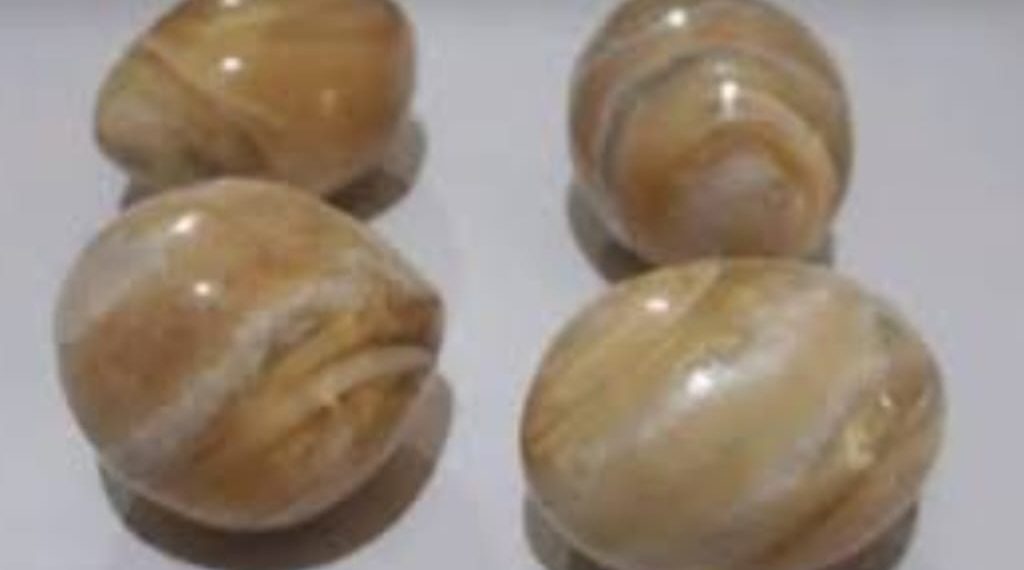 கஜமுத்துகளுடன் இருவர் கைது.!