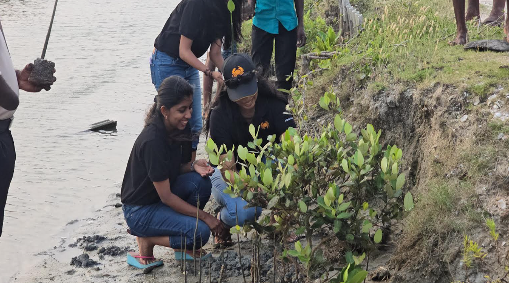 மன்னார் மற்றும் பூநகரியில் கண்டல் தாவரங்கள் மீள் நடுகை ஆரம்ப நிகழ்வு.!