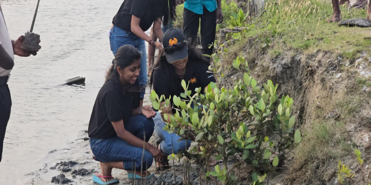 மன்னார் மற்றும் பூநகரியில் கண்டல் தாவரங்கள் மீள் நடுகை ஆரம்ப நிகழ்வு.!