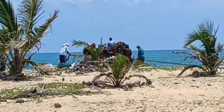 உழவு இயந்திரத்தைக் கொண்டு கரைவலை இழுப்பதற்கு அனுமதி கோரி இரகசிய கடிதம்; மீனவர்களிடையே முறுகல் நிலை.!