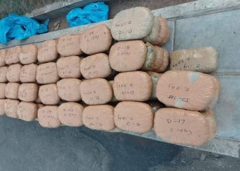 310 கிலோ கிராம் கஞ்சாவுடன் மூவர் கைது..!