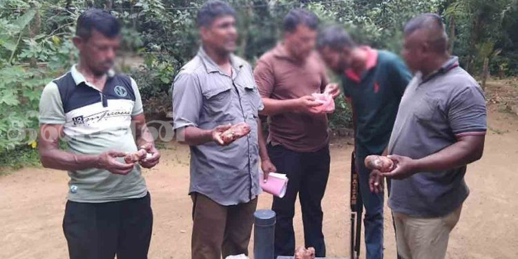 திமிங்கில வாந்தியுடன் இருவர் கைது.!
