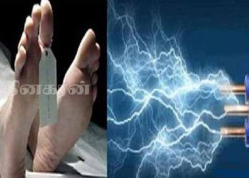 மின்சாரம் தாக்கி ஒருவர் உயிரிழப்பு.!