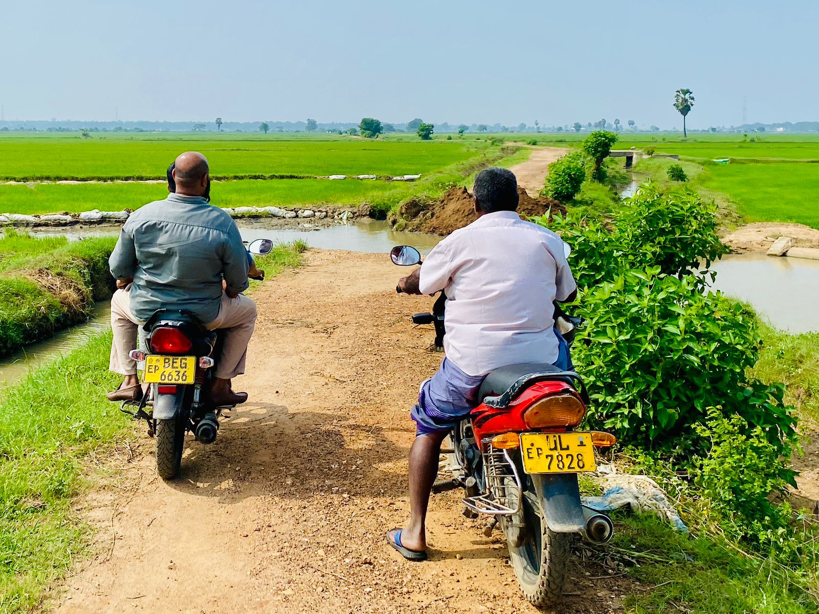 களவிஜயத்தை மேற்கொண்டார் நாடாளுமன்ற உறுப்பினர்