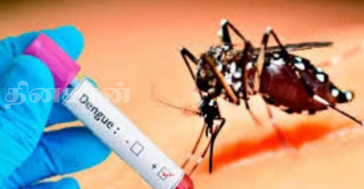 யாழில் டெங்கு நோய்த் தாக்கம் அதிகரிப்பு.!