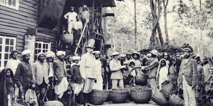 மலாயாவில் இருந்து இரண்டாவது தொகுதி தமிழர் இலங்கை வந்து சேர்ந்தனர்; மேலும் பல வரலாற்றுச் சம்பவங்கள்.!