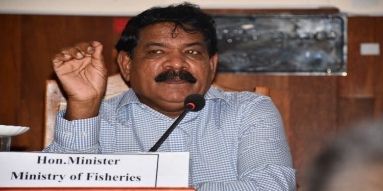 மன்னார் மாவட்டத்திற்குரிய துறைமுகம் பேசாலையில் அமைய உள்ளது..! 