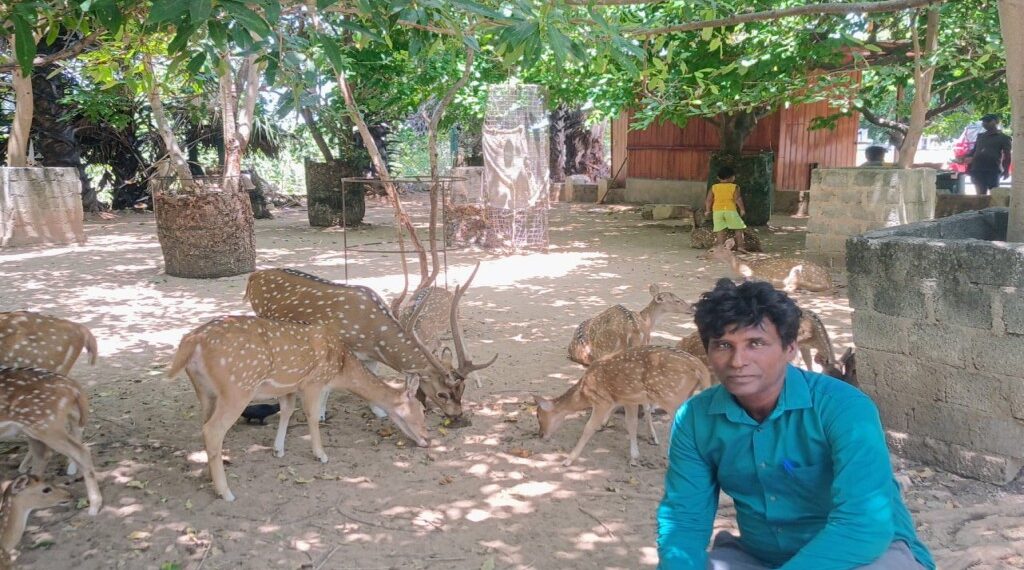 திருகோணமலை கோணேஸ்வரரின் அடையாளமான மான்களை நாம் பாதுகாப்போம்.