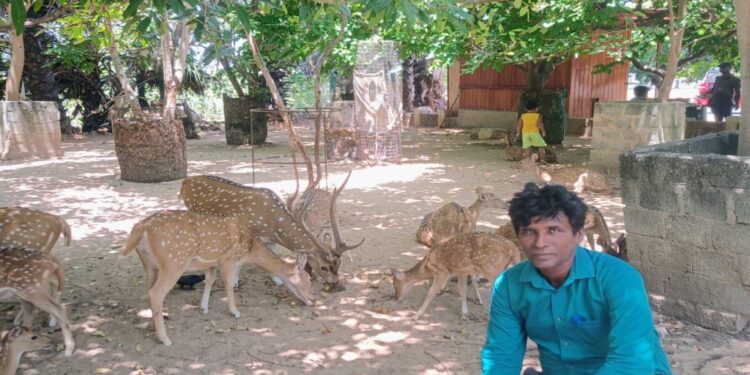 திருகோணமலை கோணேஸ்வரரின் அடையாளமான மான்களை நாம் பாதுகாப்போம்.