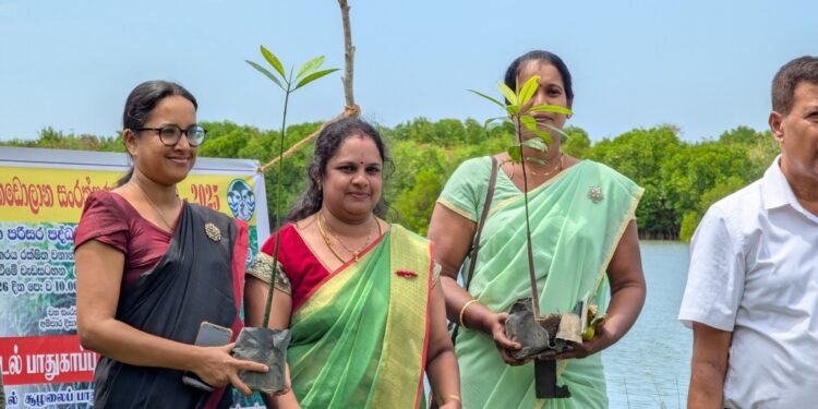 பாலக்குடா கிராமத்தில் இடம்பெற்ற கண்டல் தாவர நடுகை நிகழ்வு.!