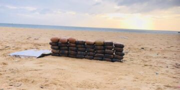 யாழில் பெருந்தொகையான கேரள கஞ்சா மீட்பு..!