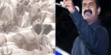 முதல் முறையாக ஆடு, மாடுகளுக்கான மாநாட்டை நடத்திய சீமான்!