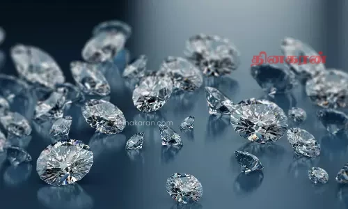 25 கோடி பெறுமதியான வைரக்கற்கள் கொள்ளை..!