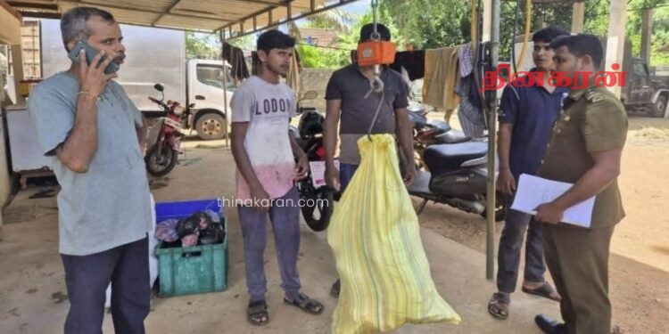 மனித பாவனைக்கு உதவாத மாட்டிறைச்சி அழிப்பு..!