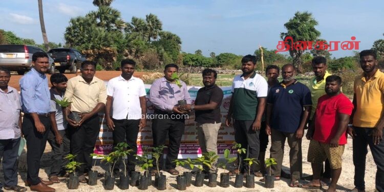 பருத்தித்துறை பிரதேச சபையினால் மேற்கொள்ளப்பட்ட மரநடுகை.!