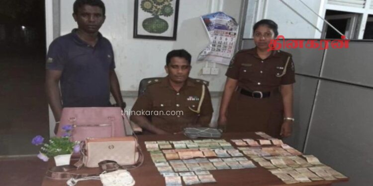 பணப்பையை திருடிய பெண் ஒருவர் கைது.!