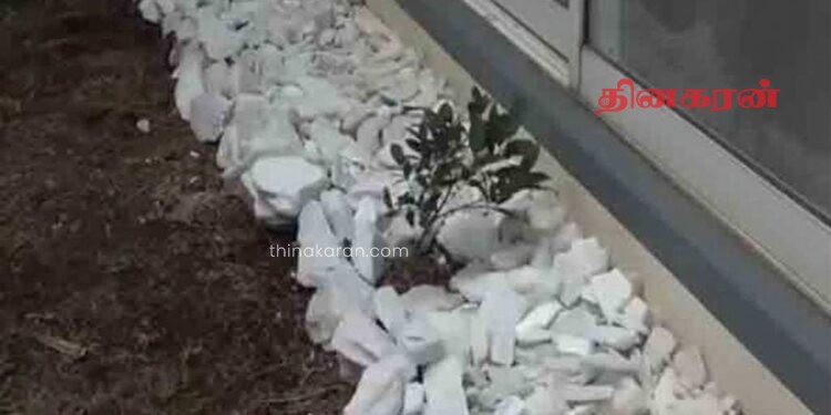 மித்தெனிய இரசாயன மாதிரிகளின் அறிக்கை வெளியீடு!