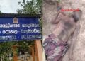 மீன்பிடிக்கச் சென்றவர் சடலமாக மீட்பு.!