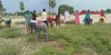 உடுத்துறை மாவீரர் துயிலும் இல்லத்தில் சிரமதானம்.!