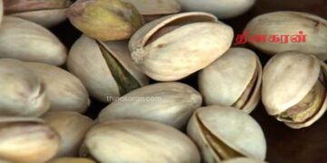 கனடாவில் பிஸ்தா தொடர்பில் விடுக்கப்பட்டுள்ள எச்சரிக்கை!