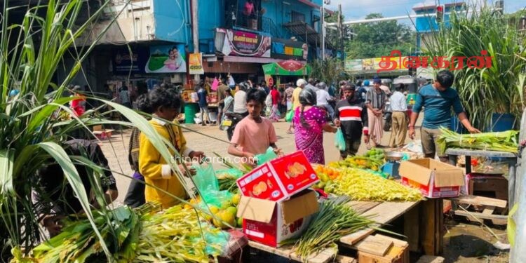 யாழில் சூடுபிடித்துள்ள தைப்பொங்கல் வியாபாரம்.!