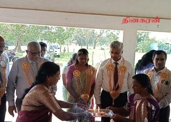 முல்லைத்தீவில் பயனாளிகளுக்கு தென்னங்கன்றுகள் வழங்கி வைப்பு.!