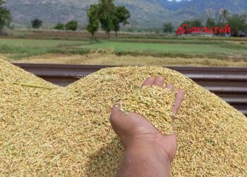 முல்லைத்தீவில் விவசாயிகளுக்கு வெளியான மகிழ்ச்சி செய்தி.!