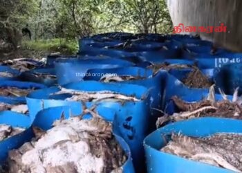 மனித பாவனைக்கு உதவாத மீன்கள் மீட்பு.!