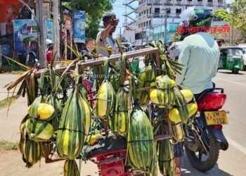 வெள்ளரிப்பழம் உட்பட பழ வகைகள் அமோக விற்பனை.!