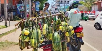 வெள்ளரிப்பழம் உட்பட பழ வகைகள் அமோக விற்பனை.!