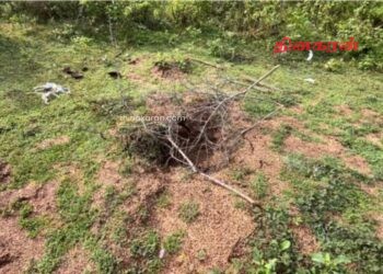 புதைக்கப்பட்ட சடலத்தின் தலையை அகற்றி சென்ற மர்மம் – வவுனியாவில் பரபரப்பு சம்பவம்.!