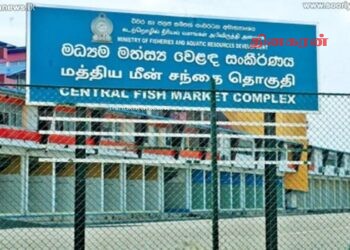 மீன்களின் விலை குறைந்துள்ளது.!