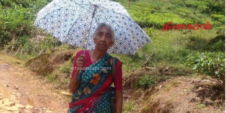 சாந்திபுரத்தில் வனத்துக்கு சென்ற வயோதிப பெண்ணை காணவில்லை…! நடந்த மர்மம் என்ன ..?