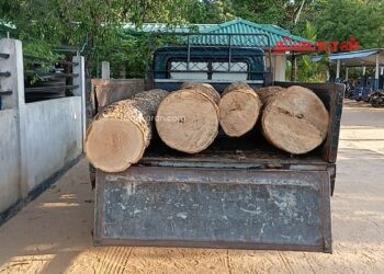 சட்டவிரோதமாக கடத்த முயன்ற மரக்குற்றிகளுடன் நபர் ஒருவர் கைது