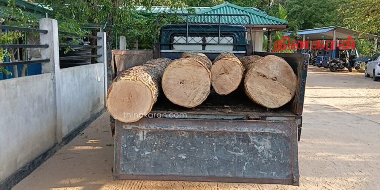 சட்டவிரோதமாக கடத்த முயன்ற மரக்குற்றிகளுடன் நபர் ஒருவர் கைது